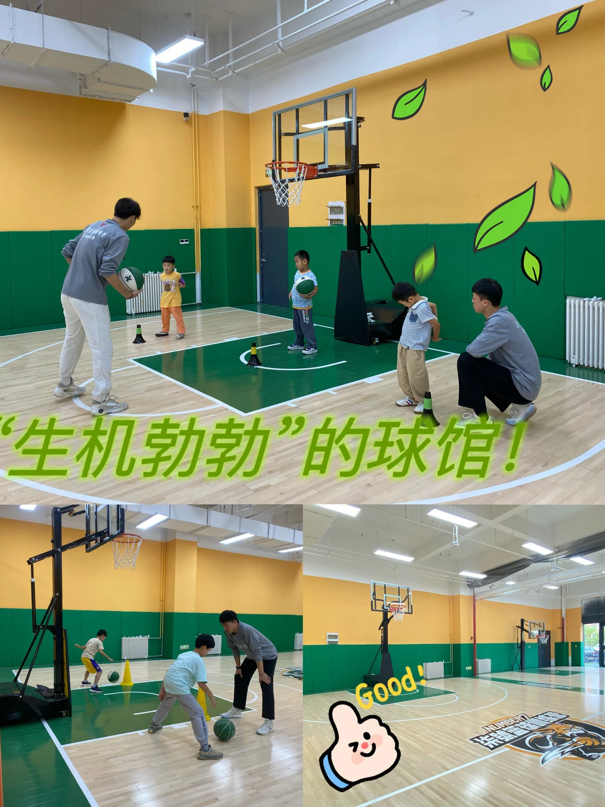 哪里可以找到适合青少年的篮球训练策略_2